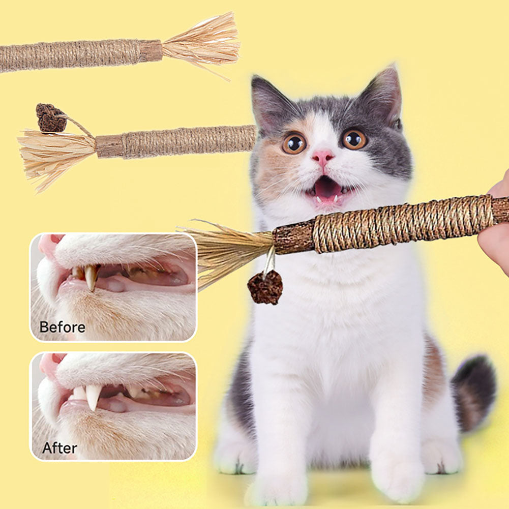 Cat Chew Stick
