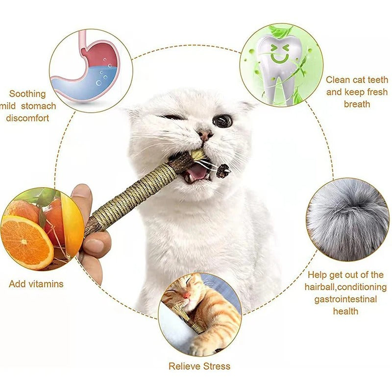 Cat Chew Stick