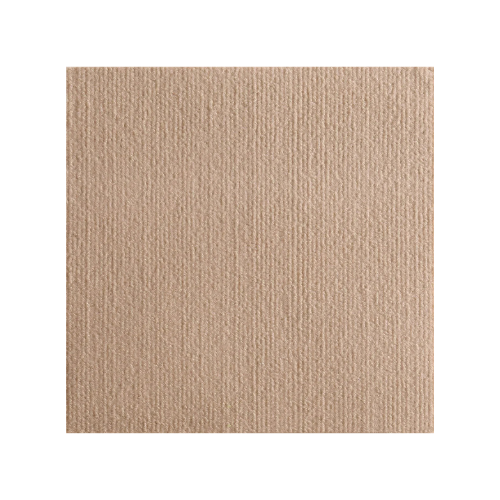 Cat Scratch - Furniture Protector