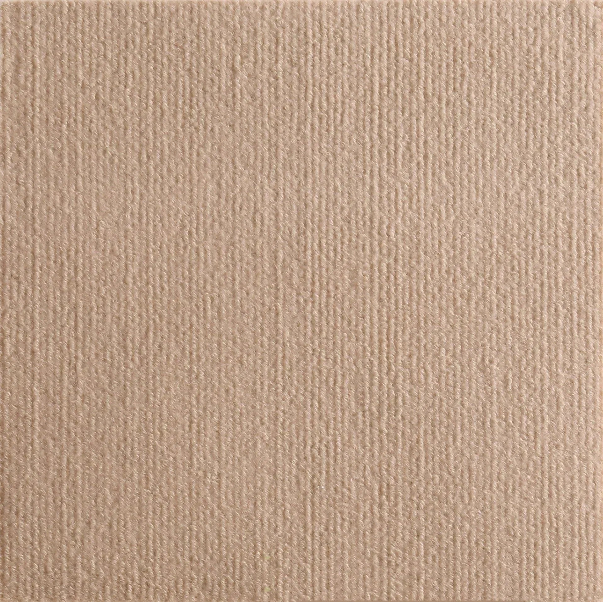 Cat Scratch - Furniture Protector